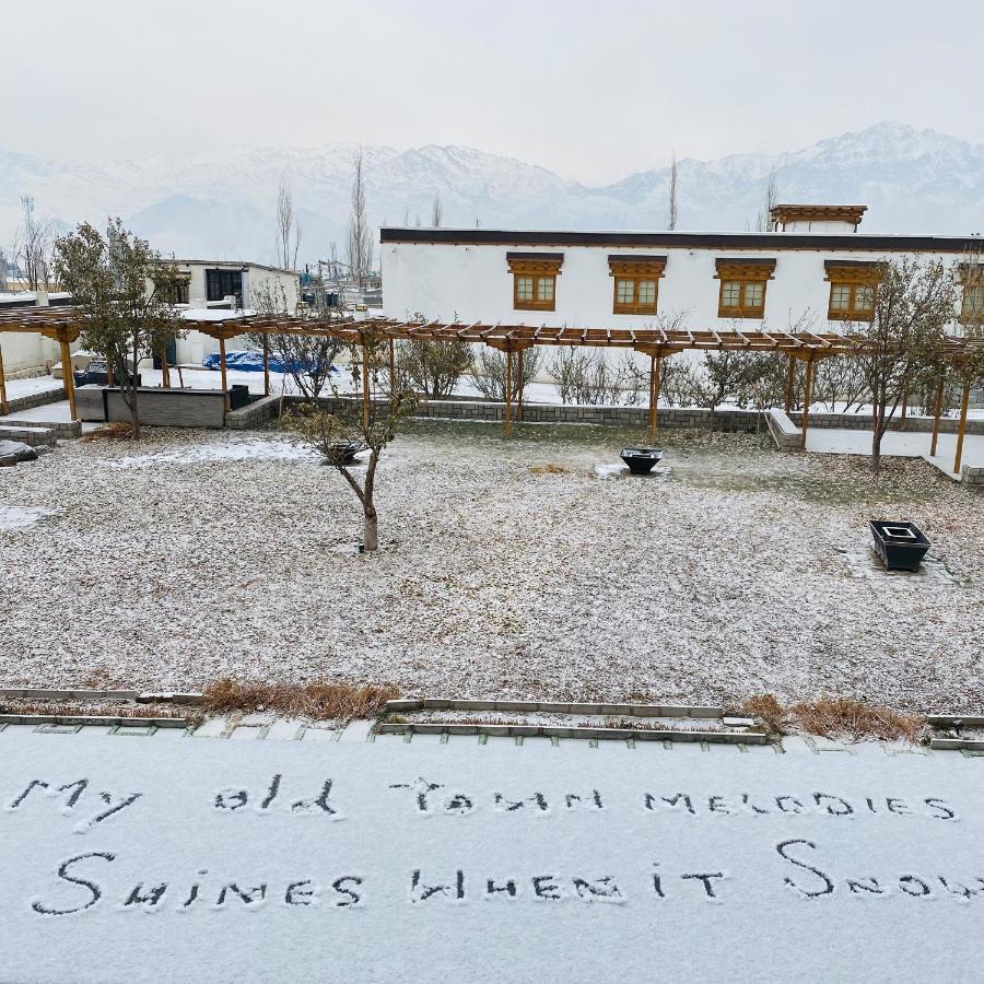 Hotel The Grand Dragon Ladakh Leh Esterno foto